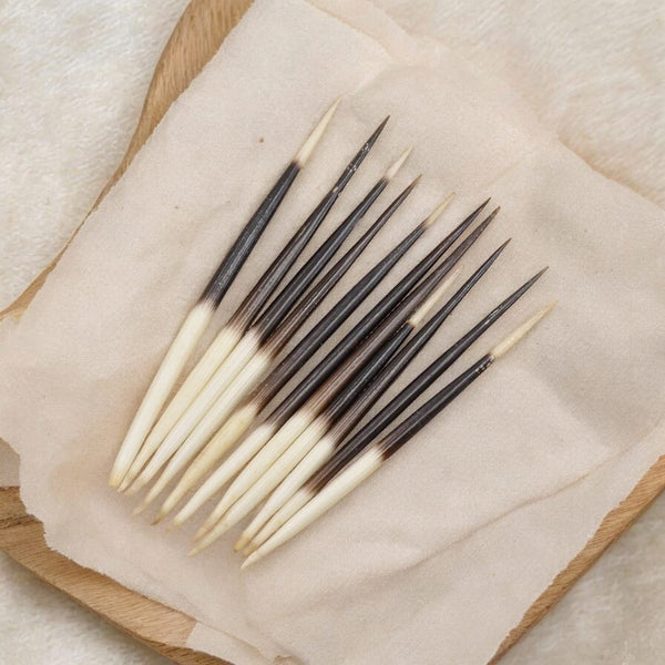 Sahi Ka Kanta | शाही का कांटा | साही का कांटा | Original & Natural Porcupine Quills