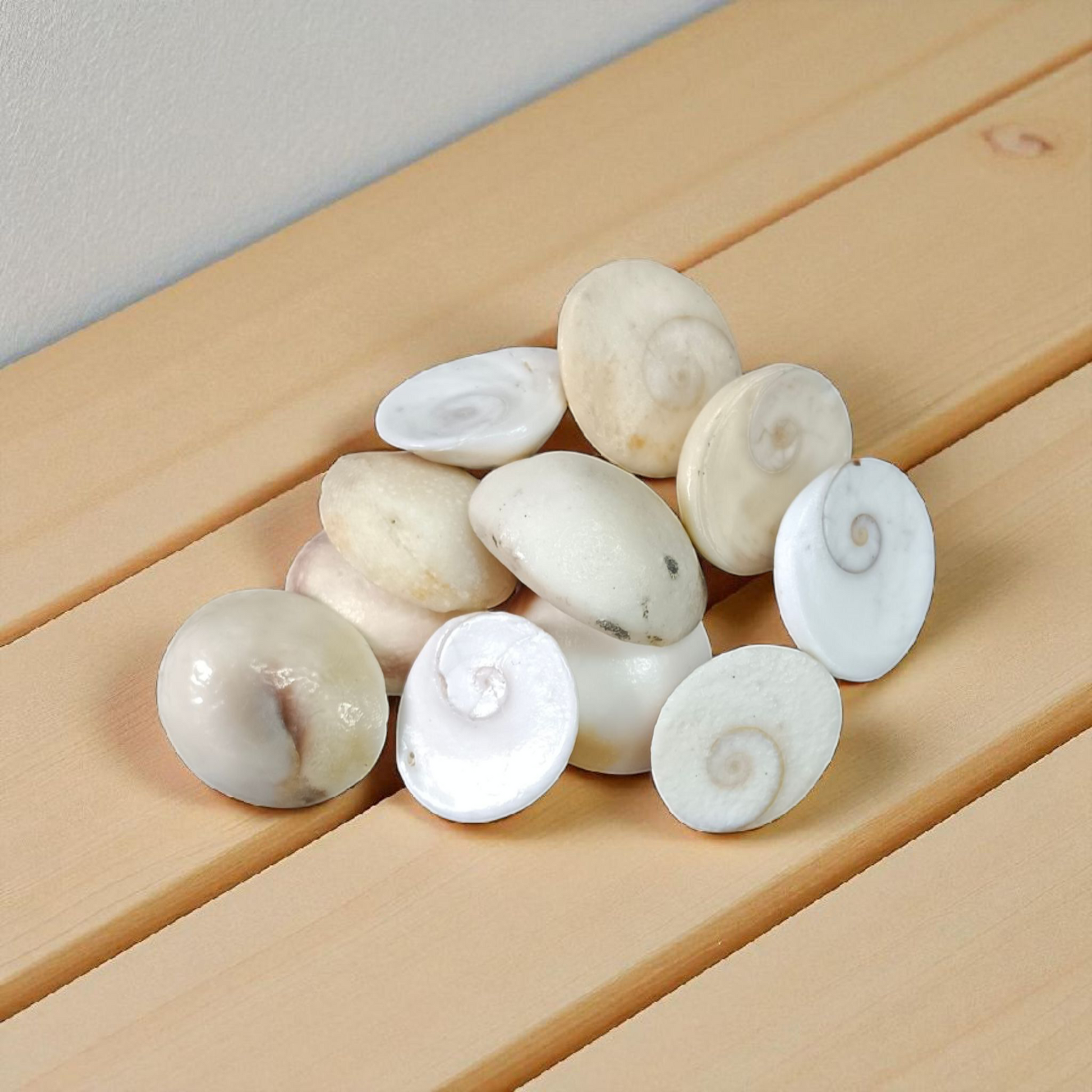 Set of 9 Gomati Chakras, sacred stones for spiritual protection, prosperity, and divine blessings