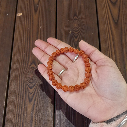 Stretchable 5 Mukhi Rudraksha Bracelet made with 8MM certified beads, ideal for daily spiritual wear