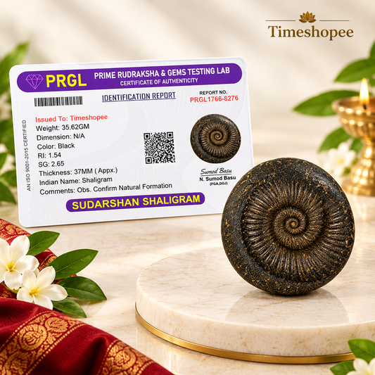 Sudarshan Shaligram Lab Certified Natural Shaligram | Timeshopee