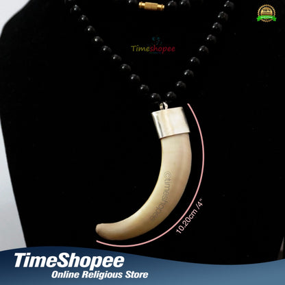 Big Wild Boar Teeth Energized with Silver Locket Cap in Black Hakik Mala | Timeshopee