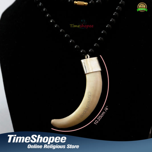 Big Wild Boar Teeth Energized with Silver Locket Cap in Black Hakik Mala | Timeshopee