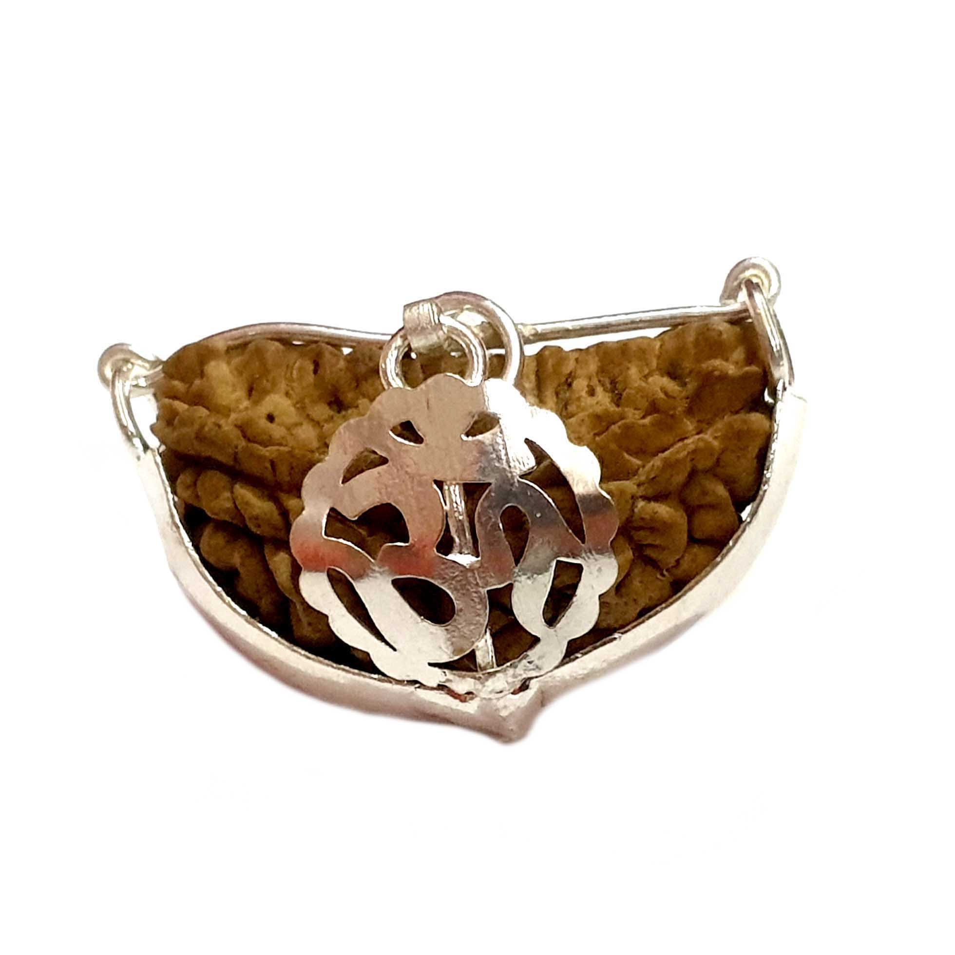 Combo of 1 Mukhi with 2 Mukhi Rudraksha | Lab Certified | Timeshopee
