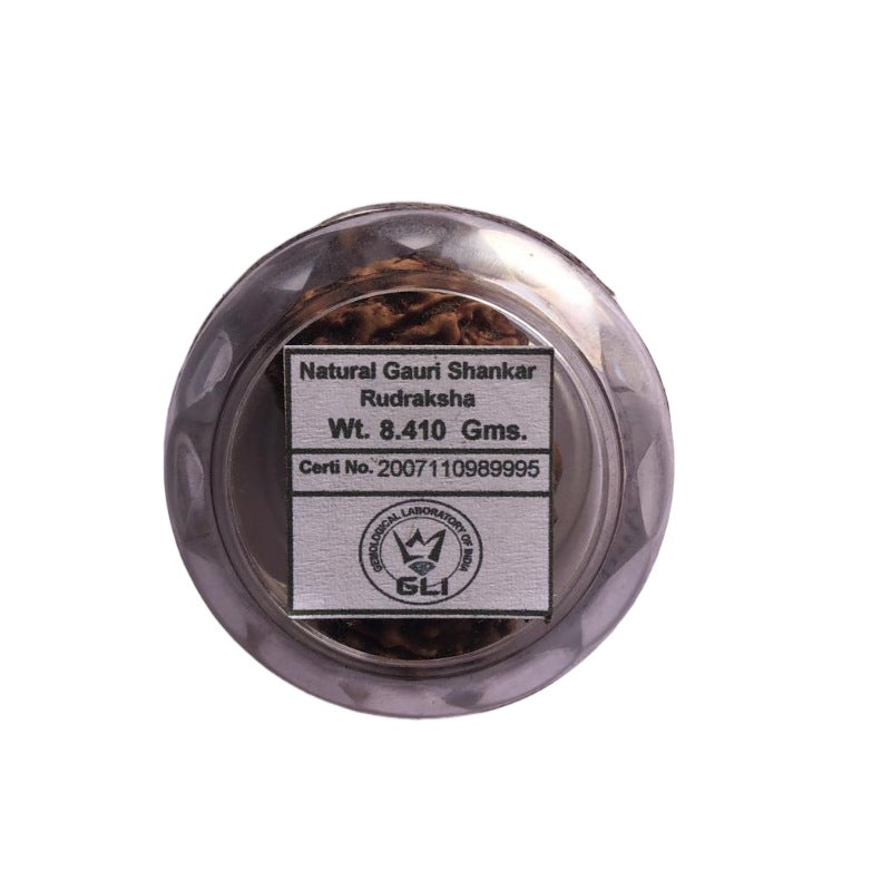 Gauri Shankar Rudraksha, lab certified, spiritual bead, Timeshopee