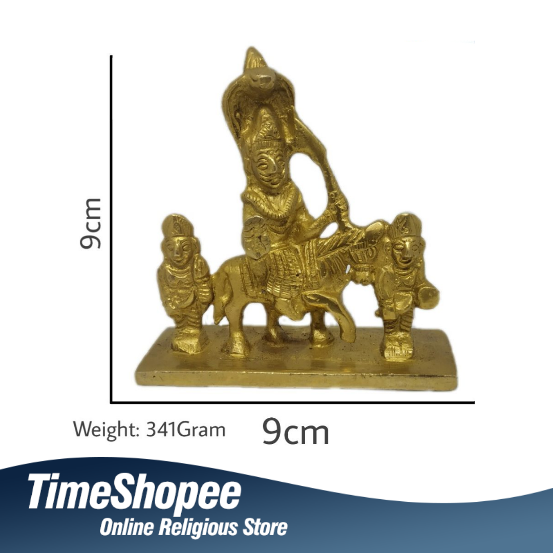 Goga Ji Brass Murti for worship, 9 cm tall, 9 cm wide, 341 grams, from Timeshopee