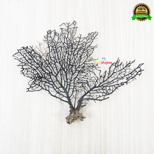 Indrajal 100% Genuine Talisman | Lab Certified for Goodluck | Timeshopee