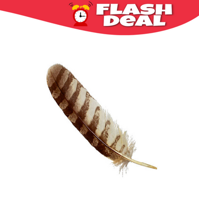 Natural Owl Feather | Original Ullu Ka Pankh | Lab Certified – Timeshopee