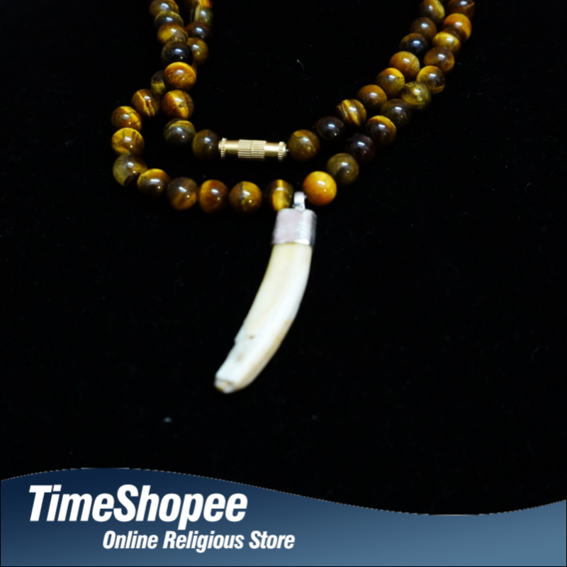 Natural Wild Boar Teeth Silver Pendant with Tiger Eye Mala, Lab Certified