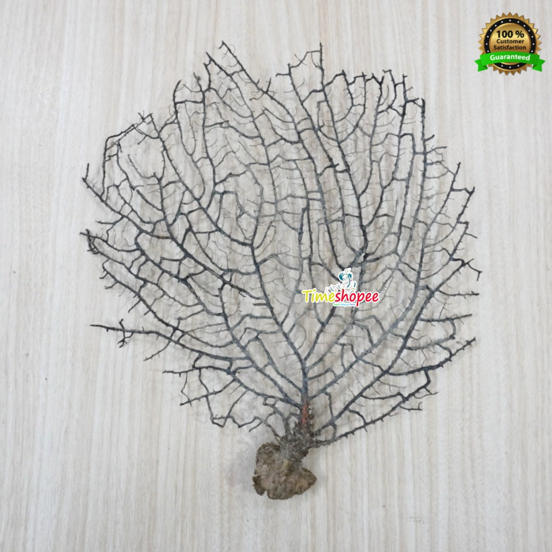 Indrajal Yantra | 100% Genuine for Goodluck & Prosperity – Lab Certified – Timeshopee