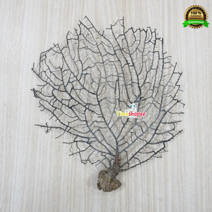 Indrajal Yantra | 100% Genuine for Goodluck & Prosperity – Lab Certified – Timeshopee