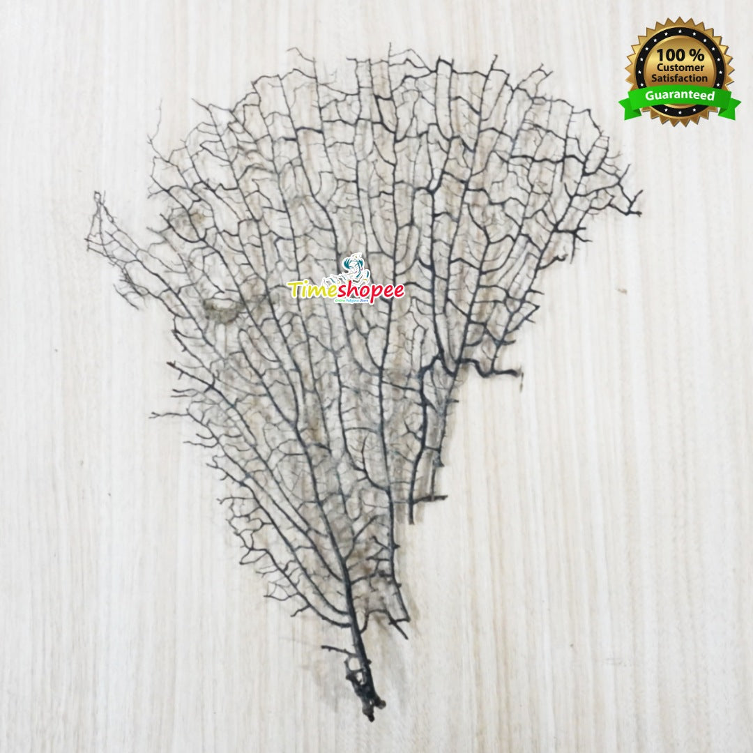 Indrajal Yantra | 100% Genuine for Goodluck & Prosperity – Lab Certified – Timeshopee
